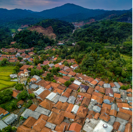 overhead shot of houses with orange roofs