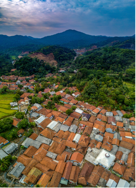 overhead shot of houses with orange roofs